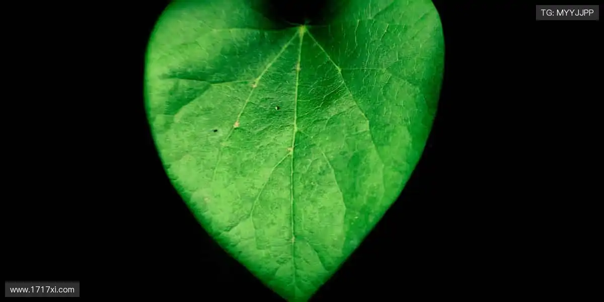 运动潮流,尽在周边!👟🎮